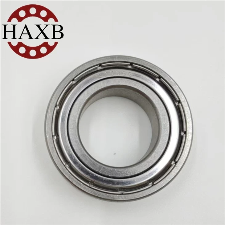 The Stainless Steel Bearing 6005zz suppliers